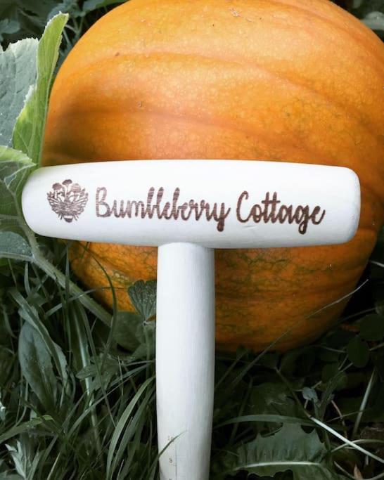 Bumbleberry Cottage Gresford Exterior photo